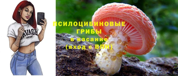 таблы Алзамай
