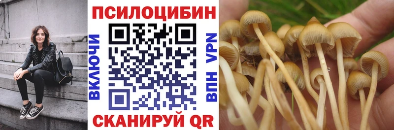 Галлюциногенные грибы Cubensis  Гаврилов Посад 